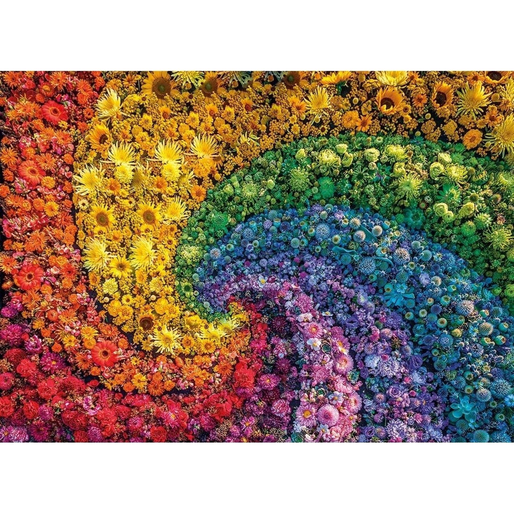 Puzzles mit 1000 Teilen colorboom Spirale Clementoni