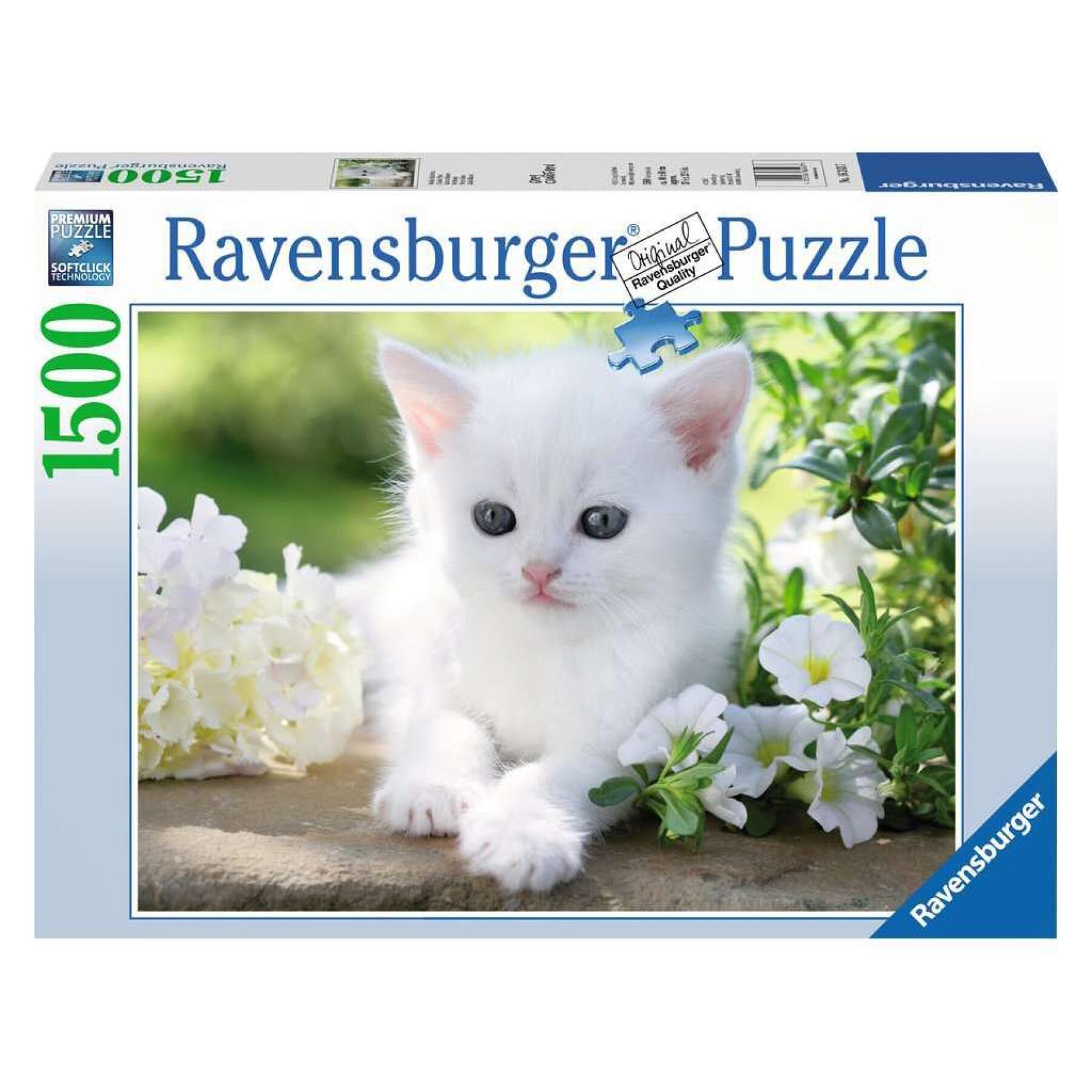 Puzzle mit 1500 Teilen weißes Kätzchen Ravensburger