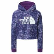 Sweatshirt für Mädchen The North Face Drew Peak Cropped P/o